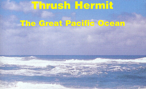 Thrush Hermit—The Great Pacific Ocean