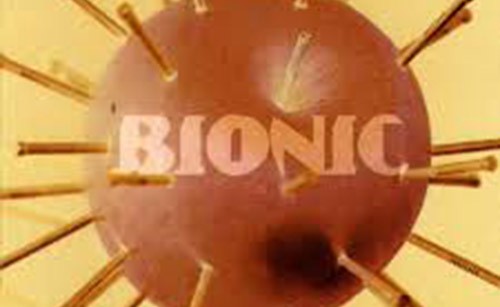 Sandbox—Bionic