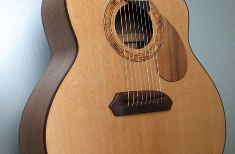 The 9-string acoustic